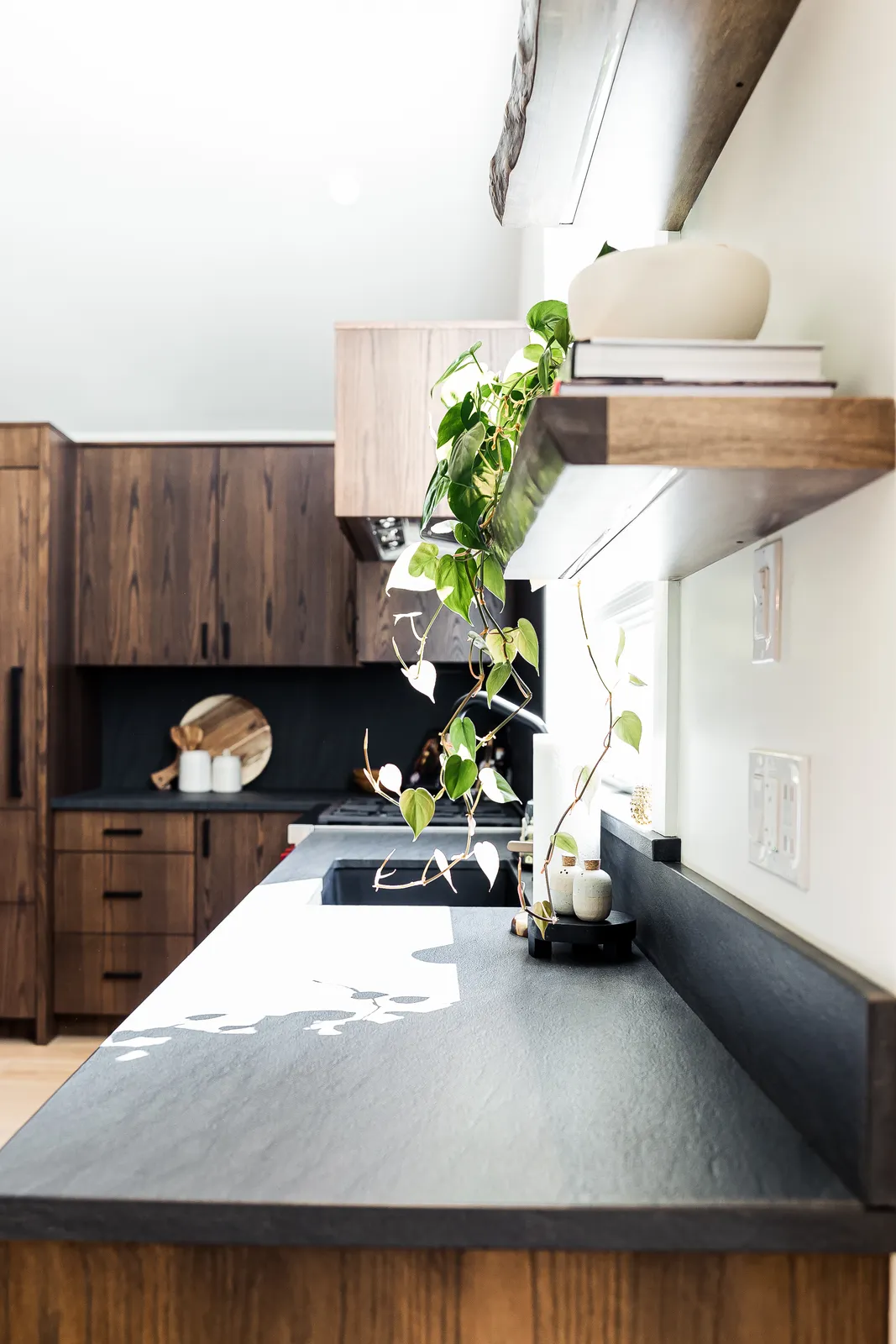 revelstoke-electric-residential-forest-renovation-06